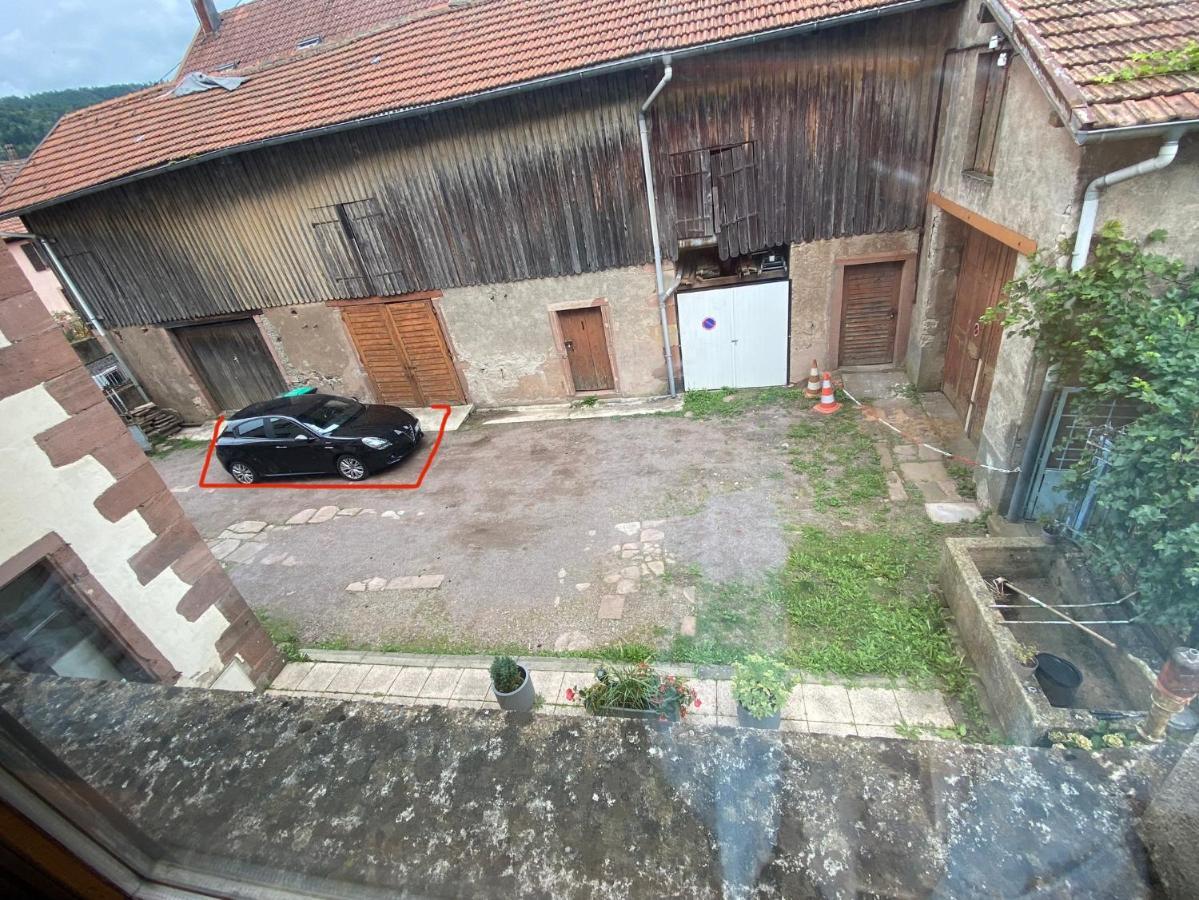 Gite Chez Lulu Proche Du Chateau De Schirmeck Lägenhet Exteriör bild